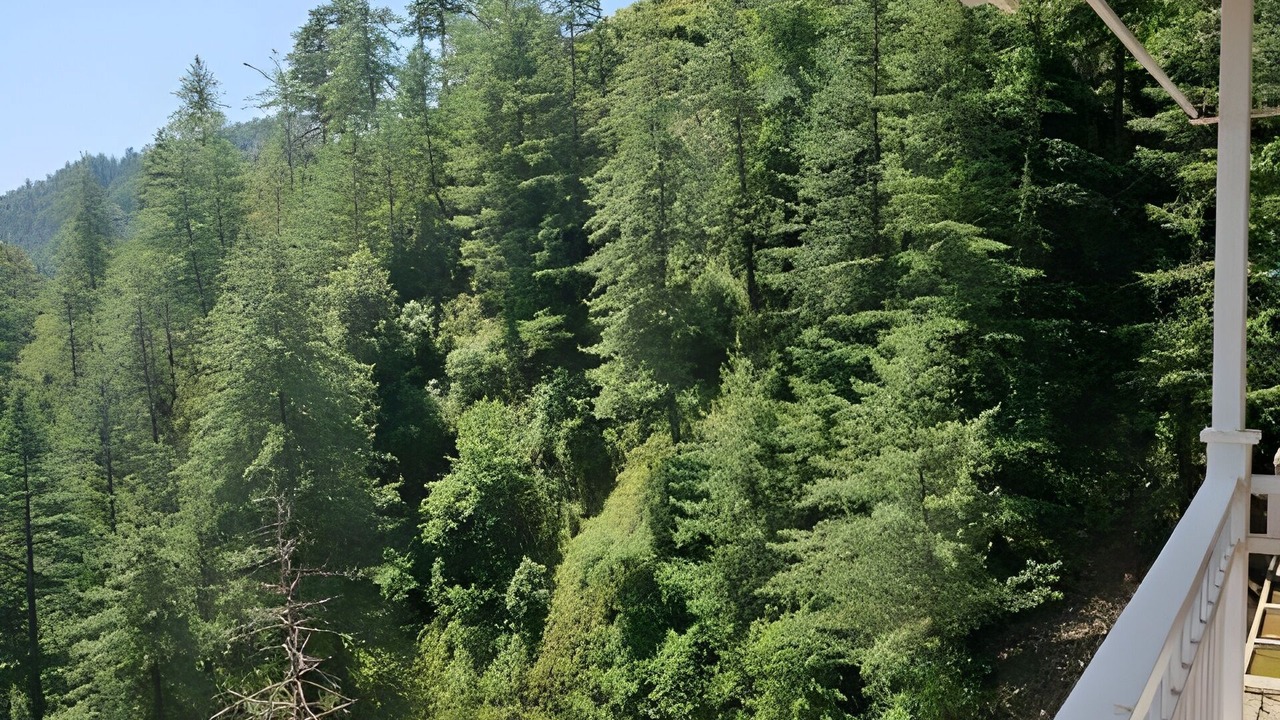 Photo of Outdoor in Shimla