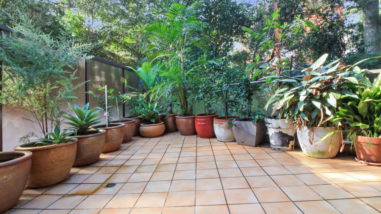 Photo of Outdoor in Randwick
