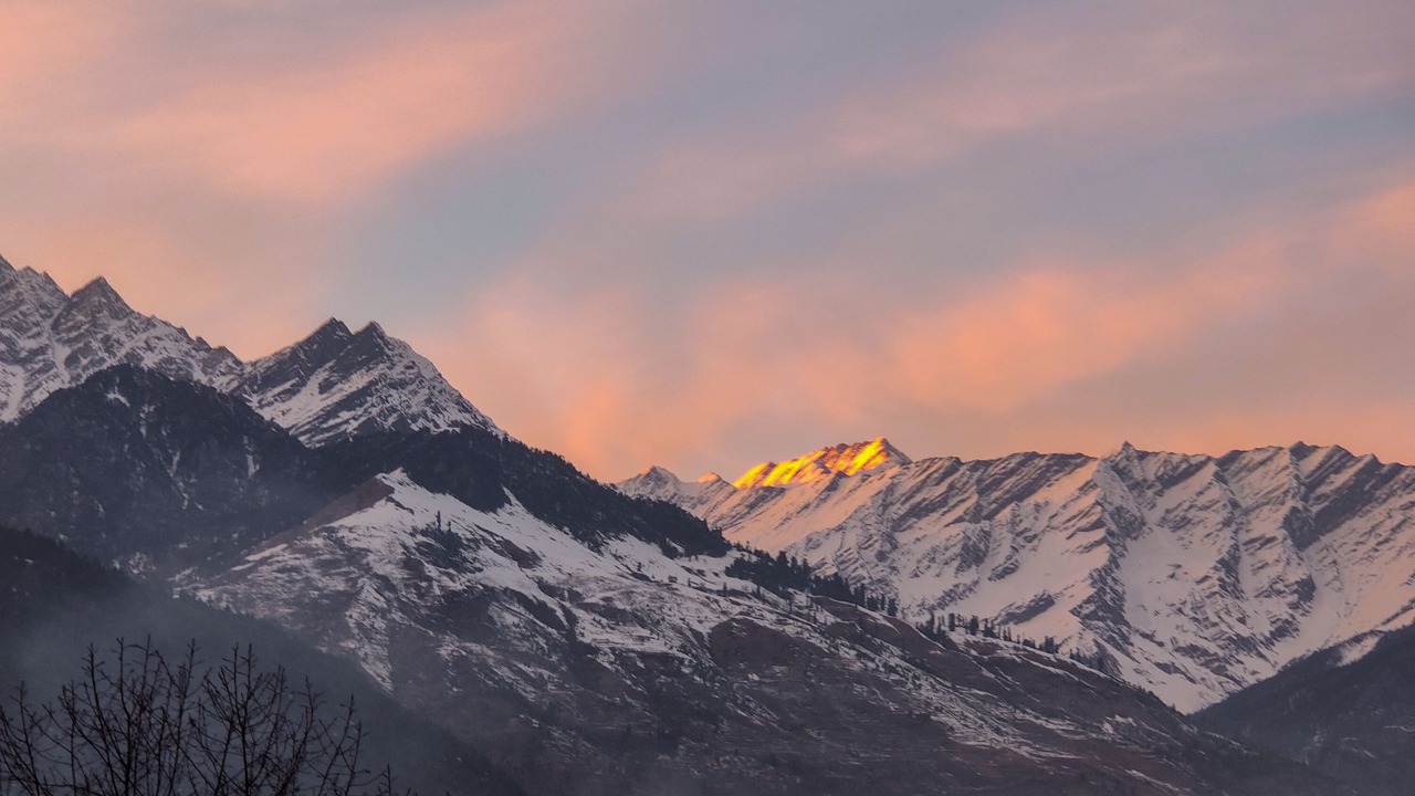 Photo of Others in Manali