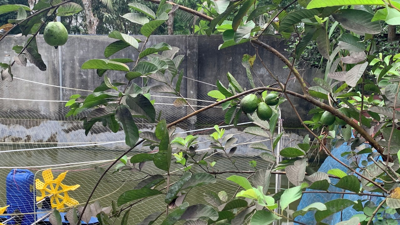 Photo of Outdoor in Barisal