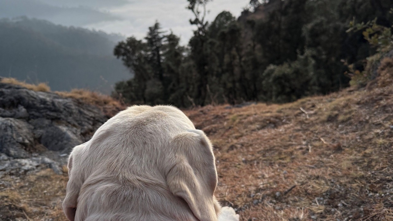 Photo of Outdoor in Bullawala