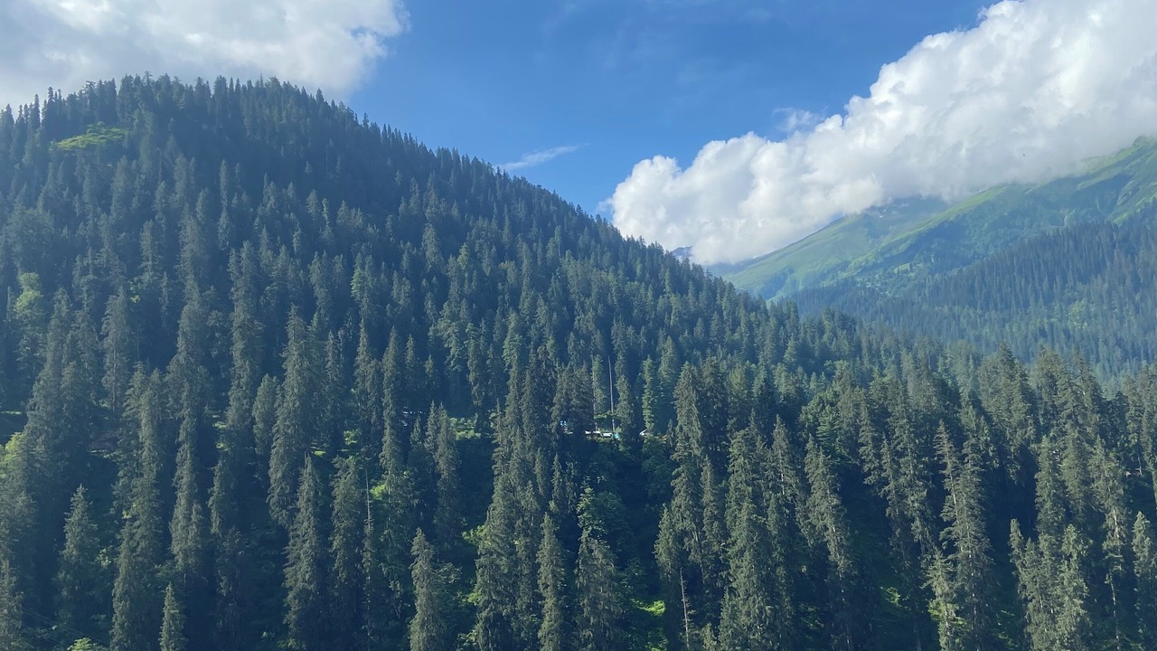 Photo of Others in Kullu
