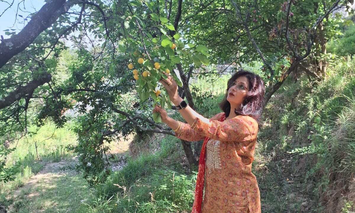 Photo of Outdoor in Kaul