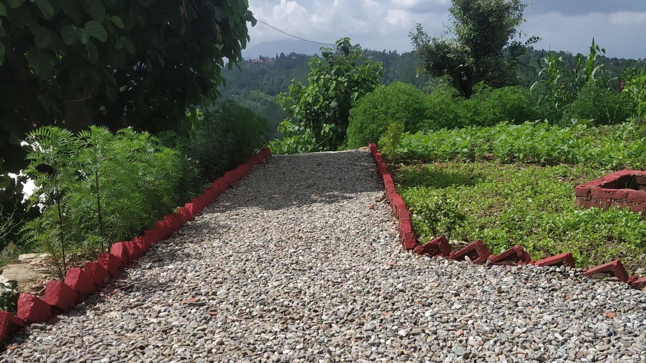 Photo of Outdoor in Kaul