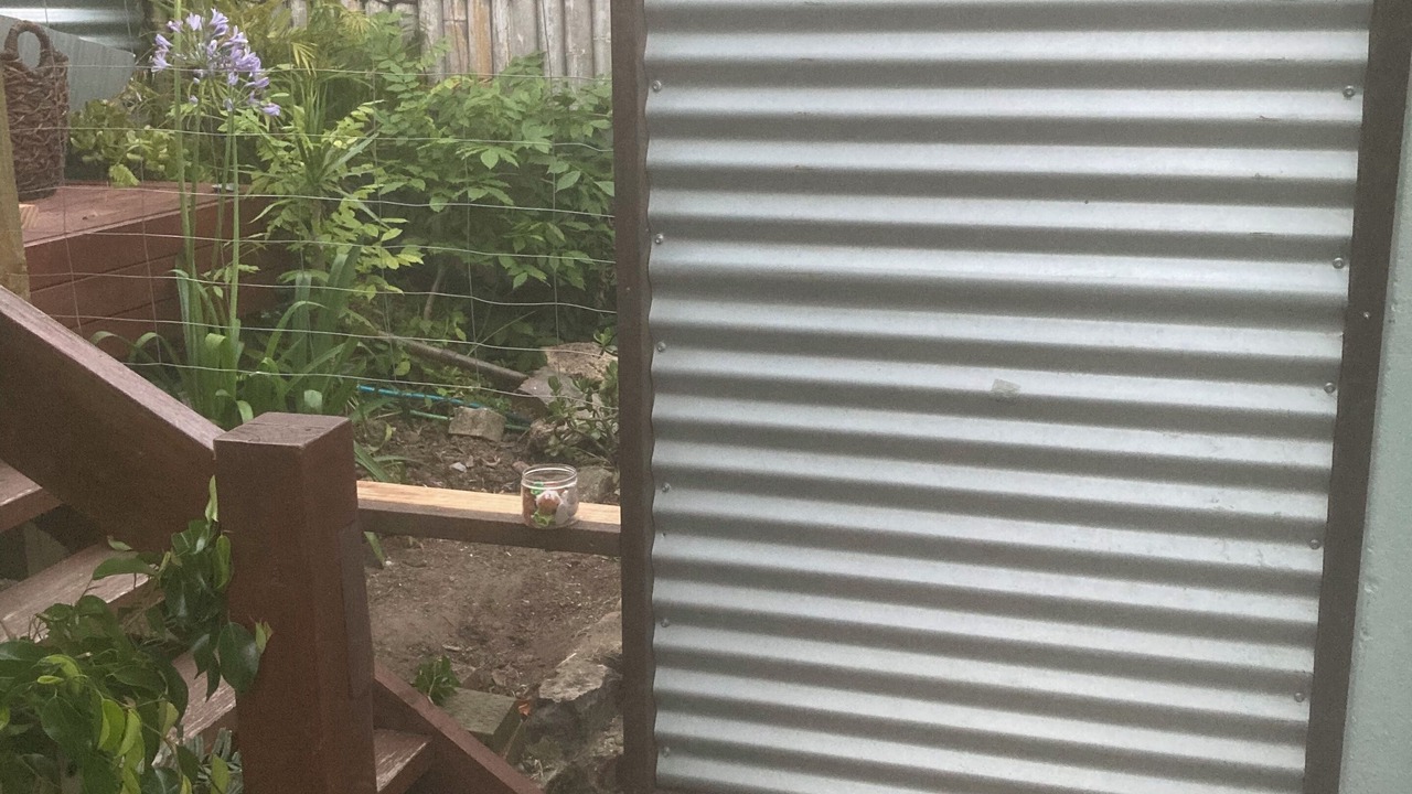 Photo of Outdoor in Manly Vale