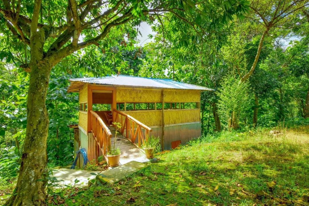 Photo of Others in Bandarban