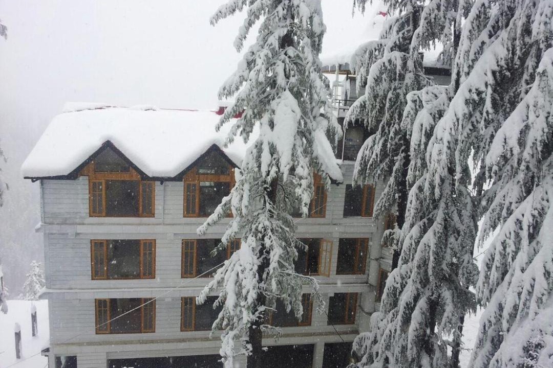 Photo of Others in Shimla
