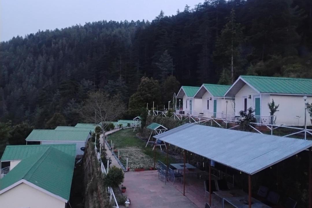 Photo of Others in Shimla