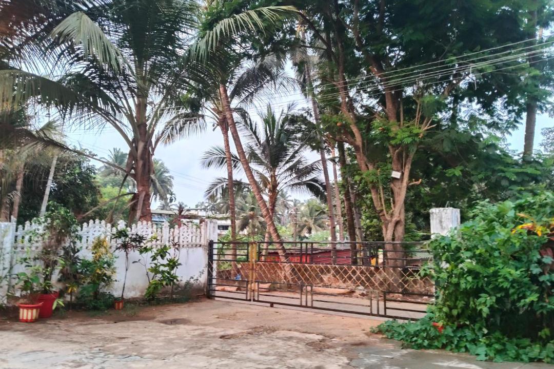 Photo of Others in Colva