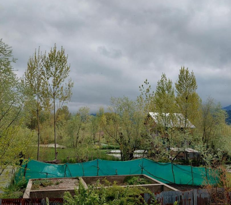 Photo of Others in Srinagar
