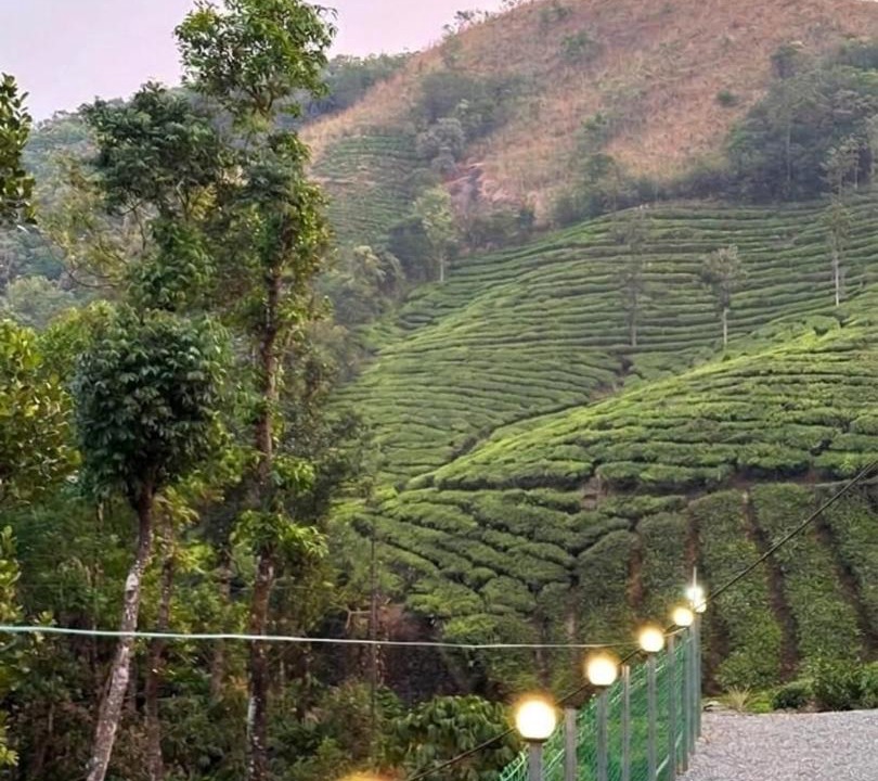 Photo of Others in Elappara
