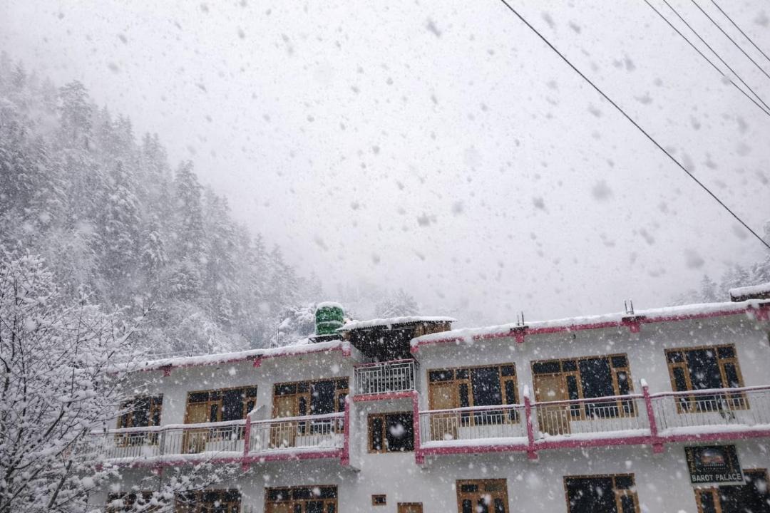 Photo of Others in Barot