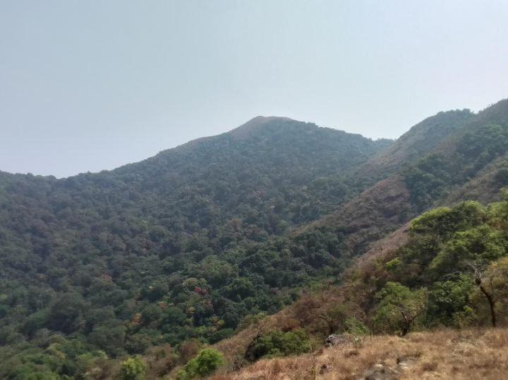 Photo of Others in Madikeri