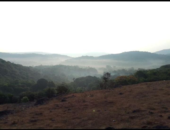Photo of Others in Madikeri