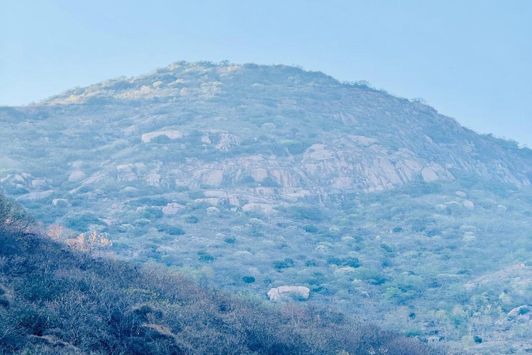 Photo of Others in Tiruvannamalai
