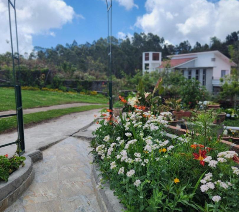 Photo of Others in Kodaikanal