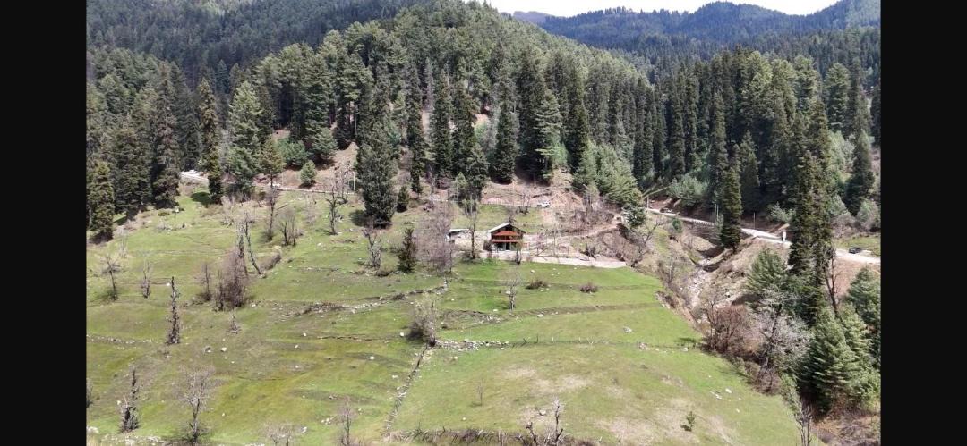 Photo of Others in Pahalgam