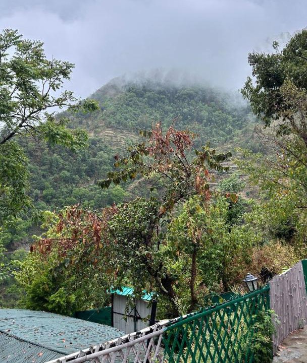 Photo of Others in Naina Range