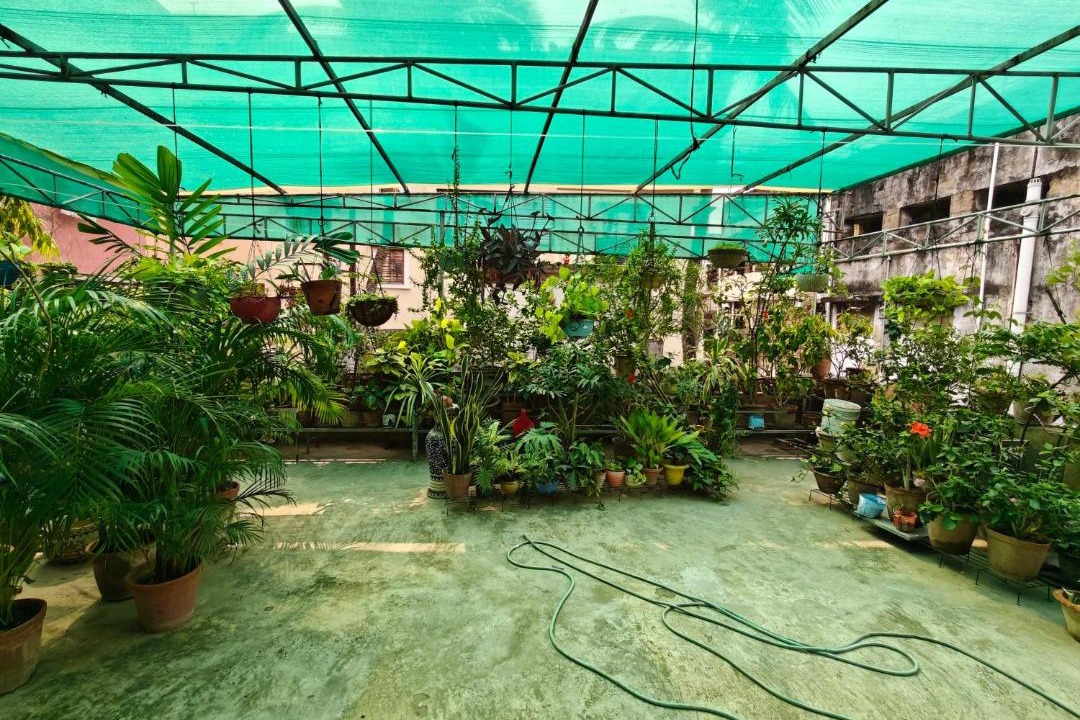 Photo of Others in Kolkata