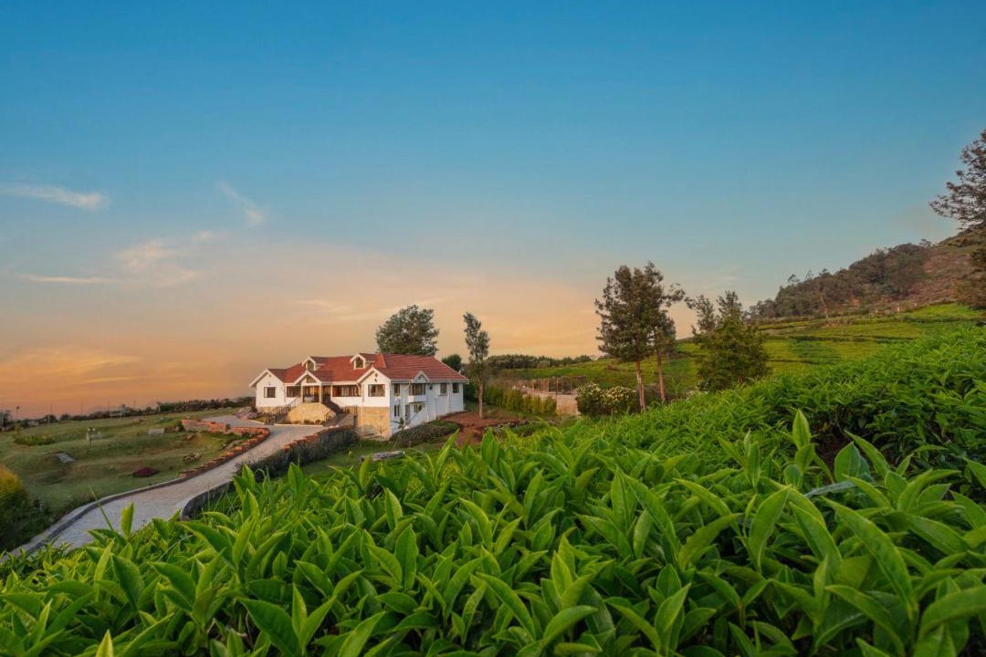 Photo of Others in Ooty