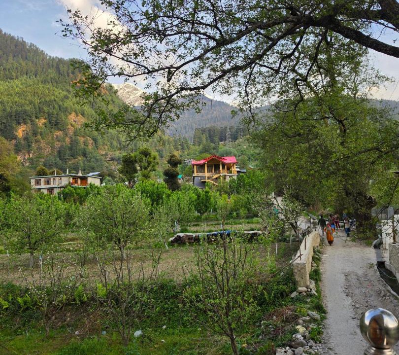 Photo of Others in Manali