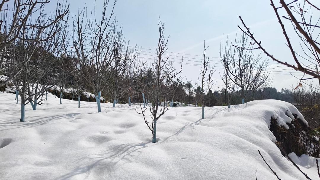 Photo of Outdoor in Shilla