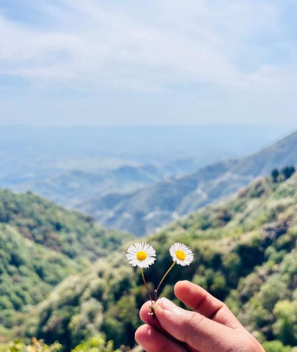Photo of Others in Mussoorie