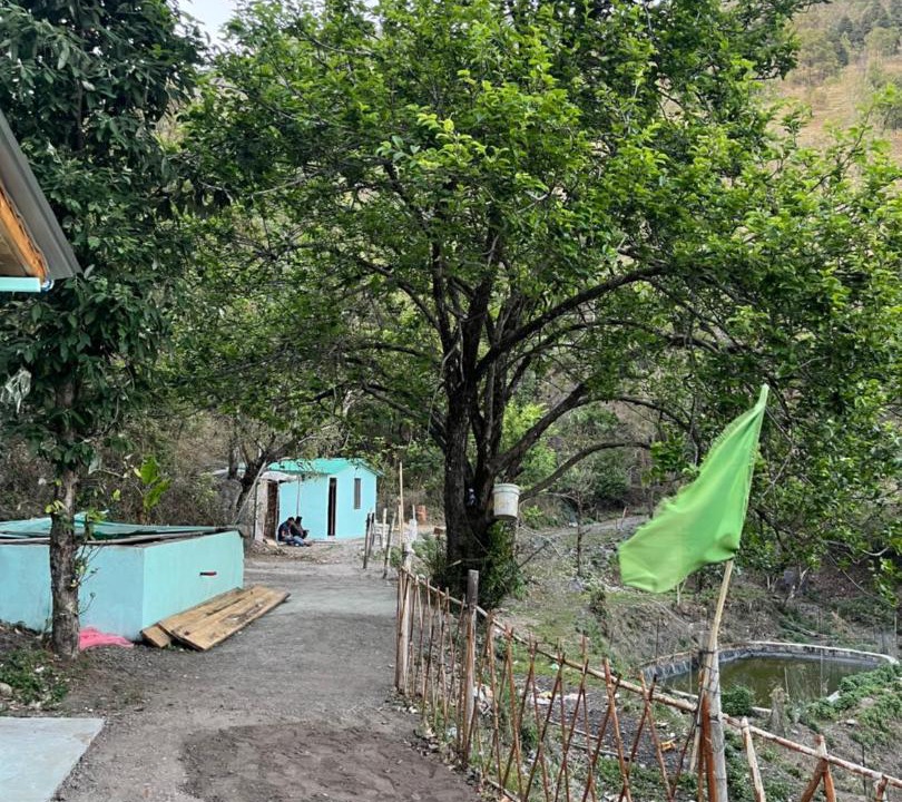 Photo of Others in Bhimtal