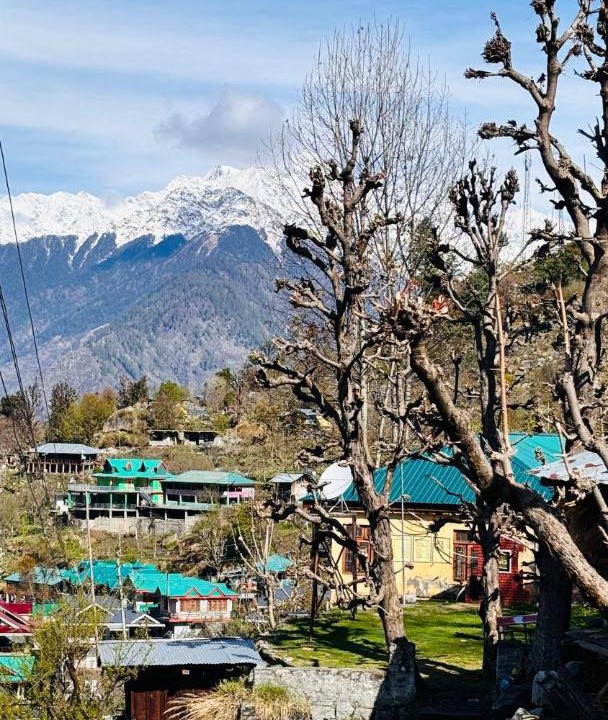 Photo of Others in Nichar