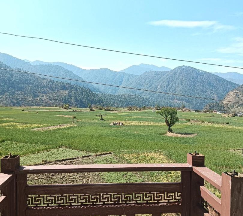 Photo of Others in Rajgarhi