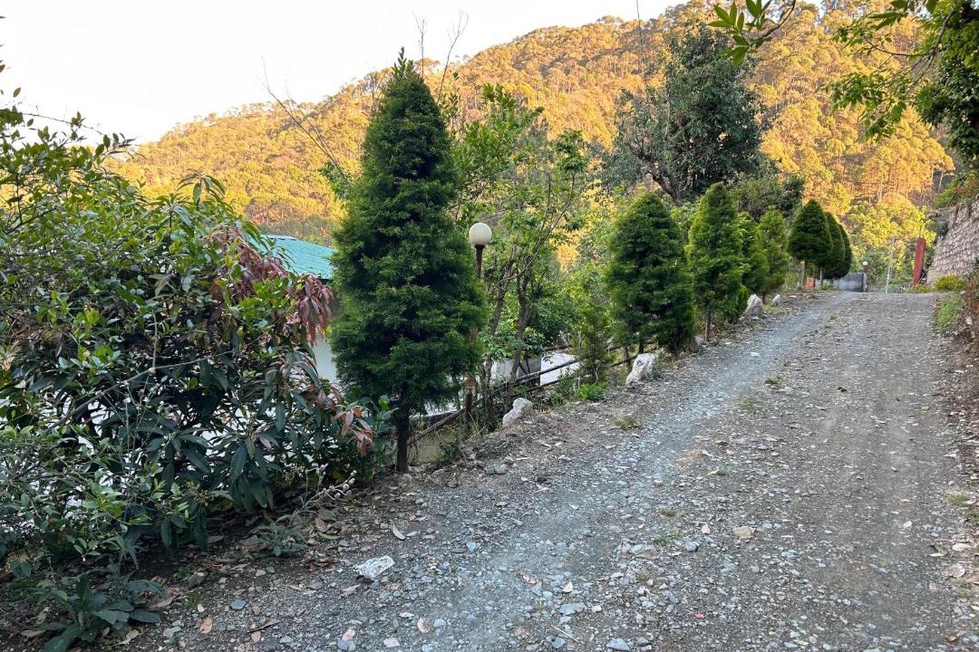 Photo of Others in Bhimtal