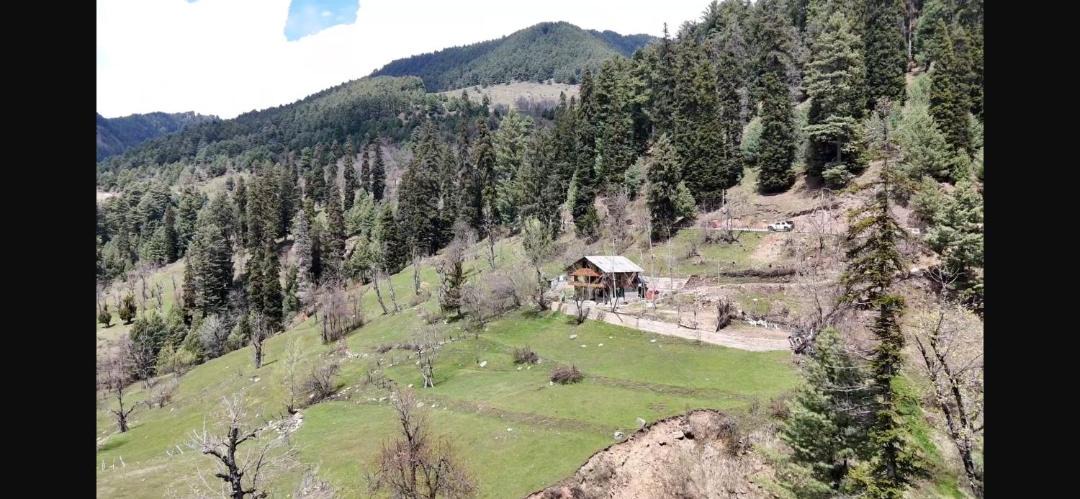 Photo of Others in Pahalgam