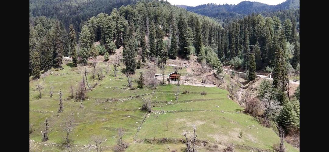 Photo of Others in Pahalgam