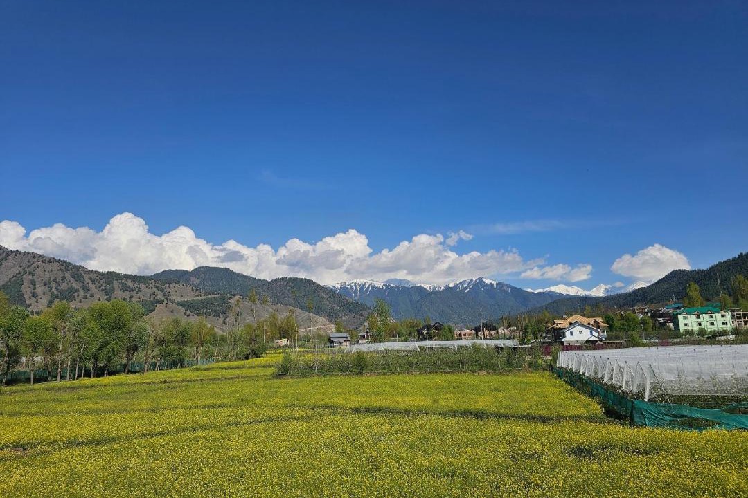 Photo of Others in Kokernag