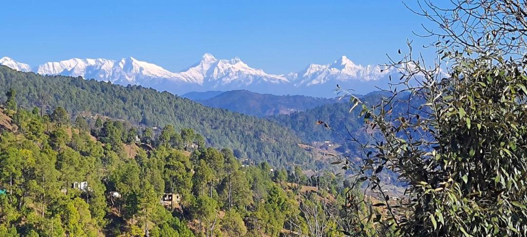 Photo of Others in Mukteshwar