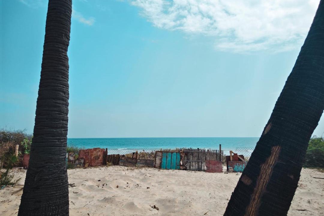 Photo of Others in Mudukulattur