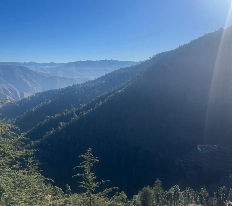 Photo of Others in Chail