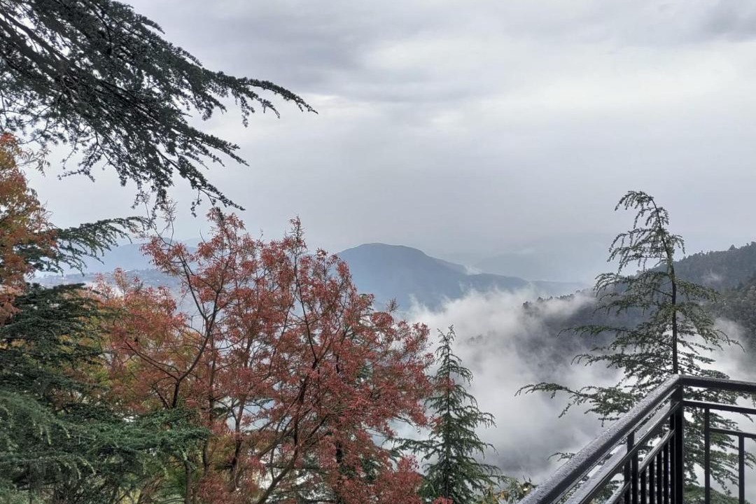 Photo of Others in Chail