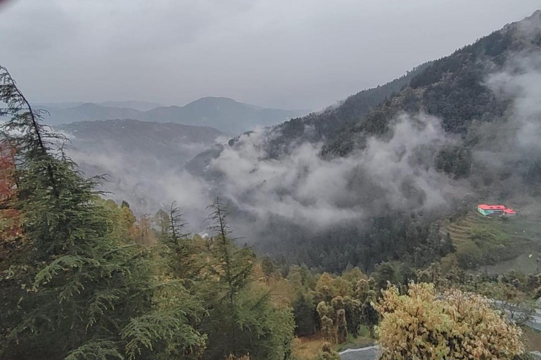 Photo of Others in Chail