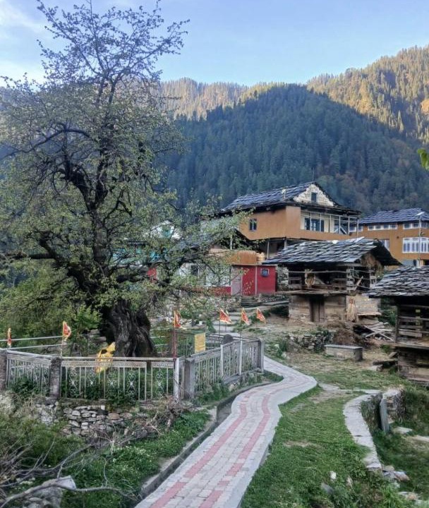 Photo of Others in Jibhi