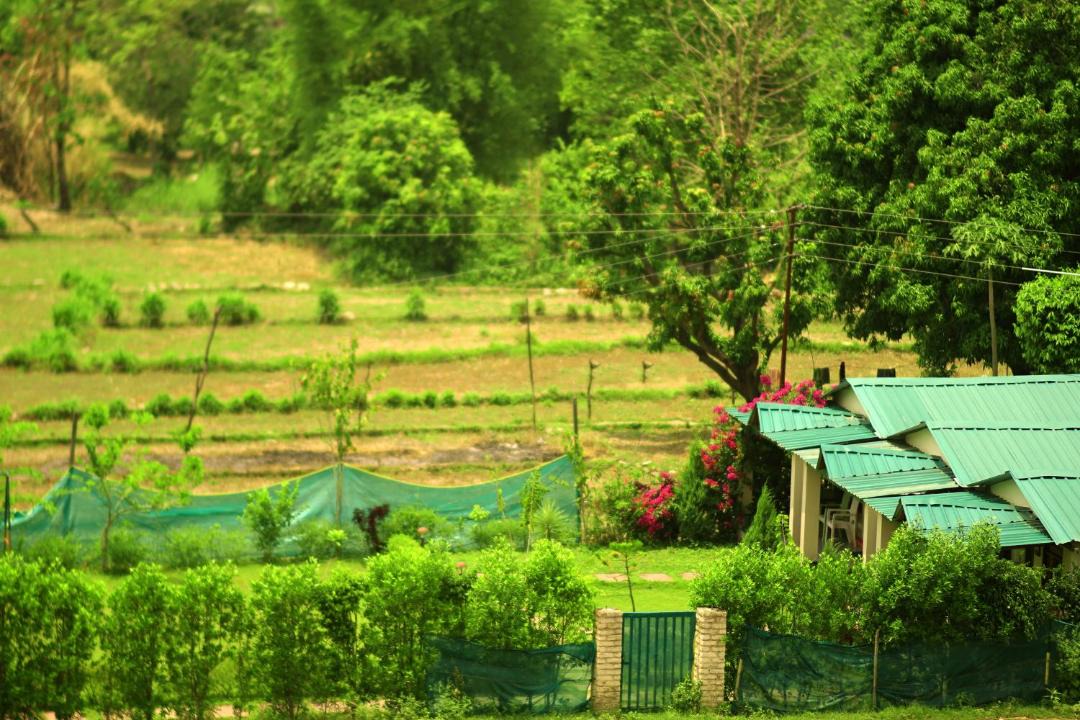 Photo of Others in Ramnagar