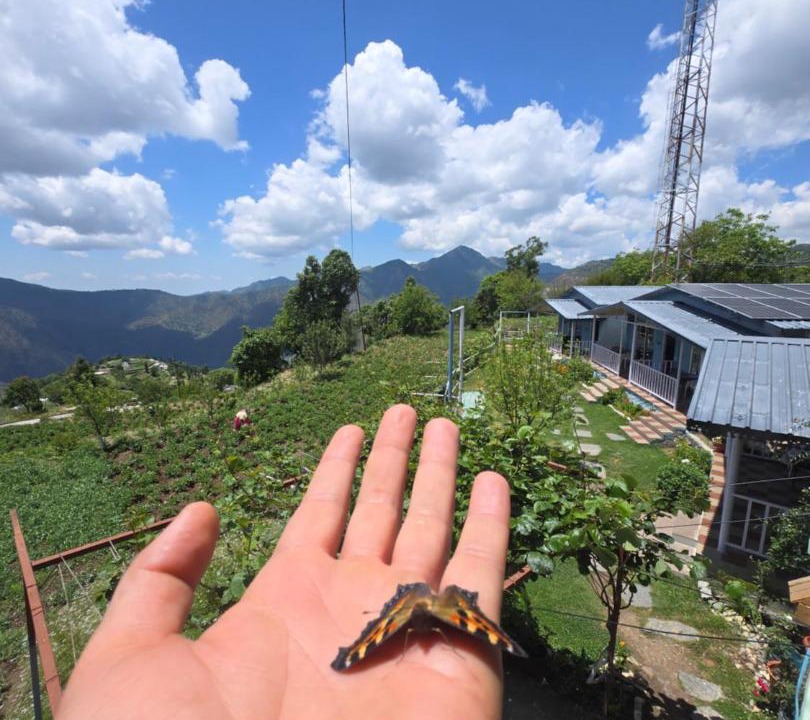 Photo of Others in Sakalana Range