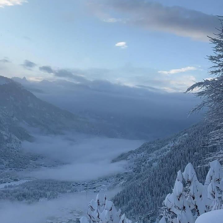 Photo of Others in Manali