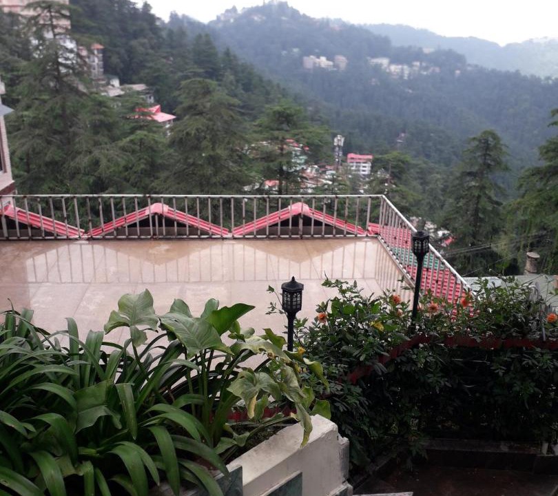 Photo of Others in Shimla