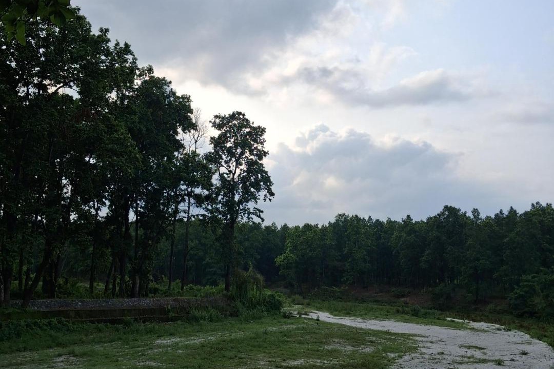 Photo of Others in Siliguri