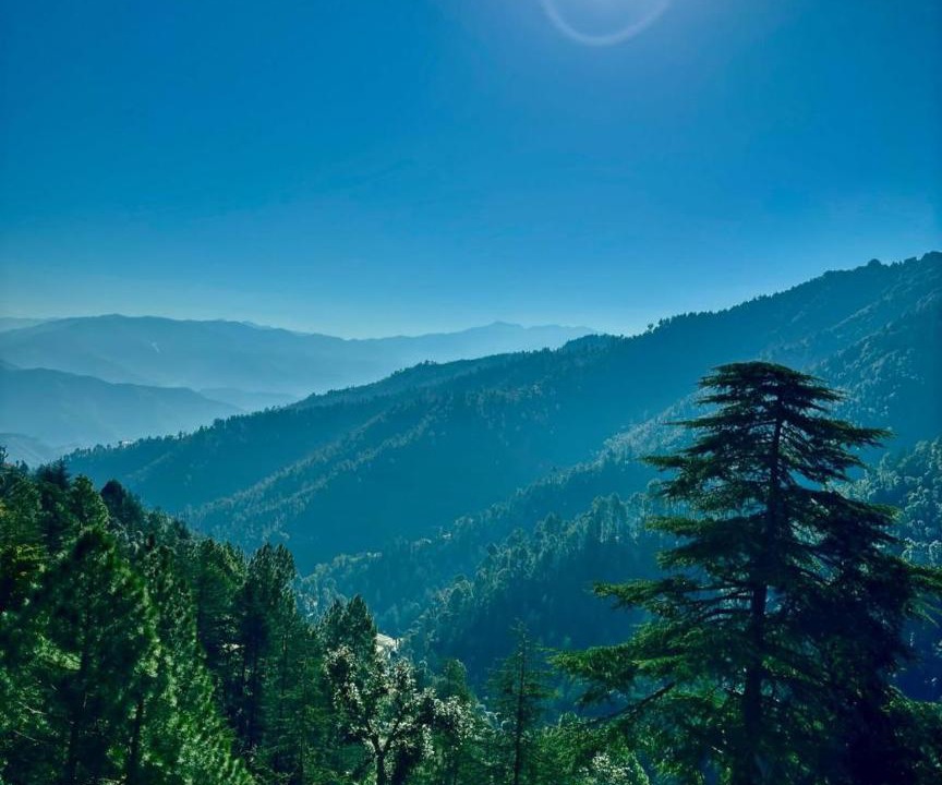 Photo of Others in Chail