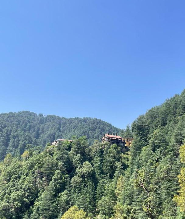Photo of Others in Chail