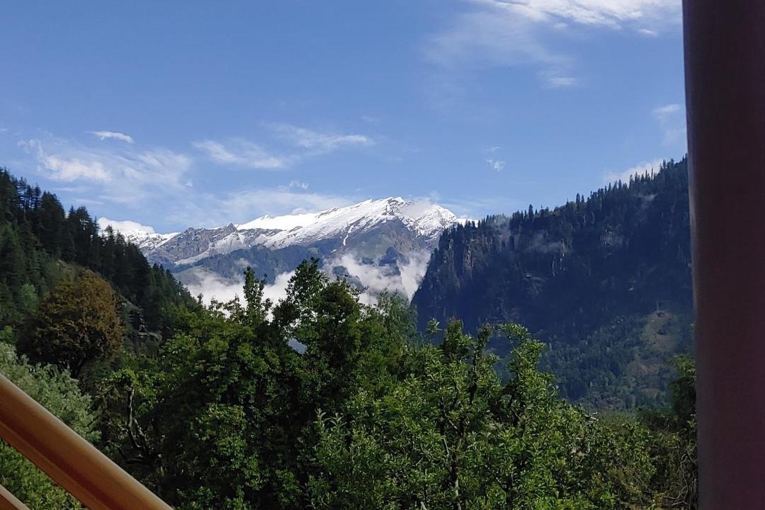 Photo of Others in Old Manali