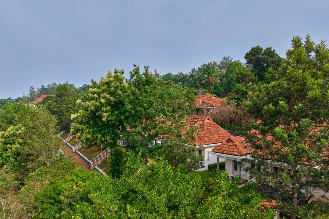 Photo of Others in Udumbanchola