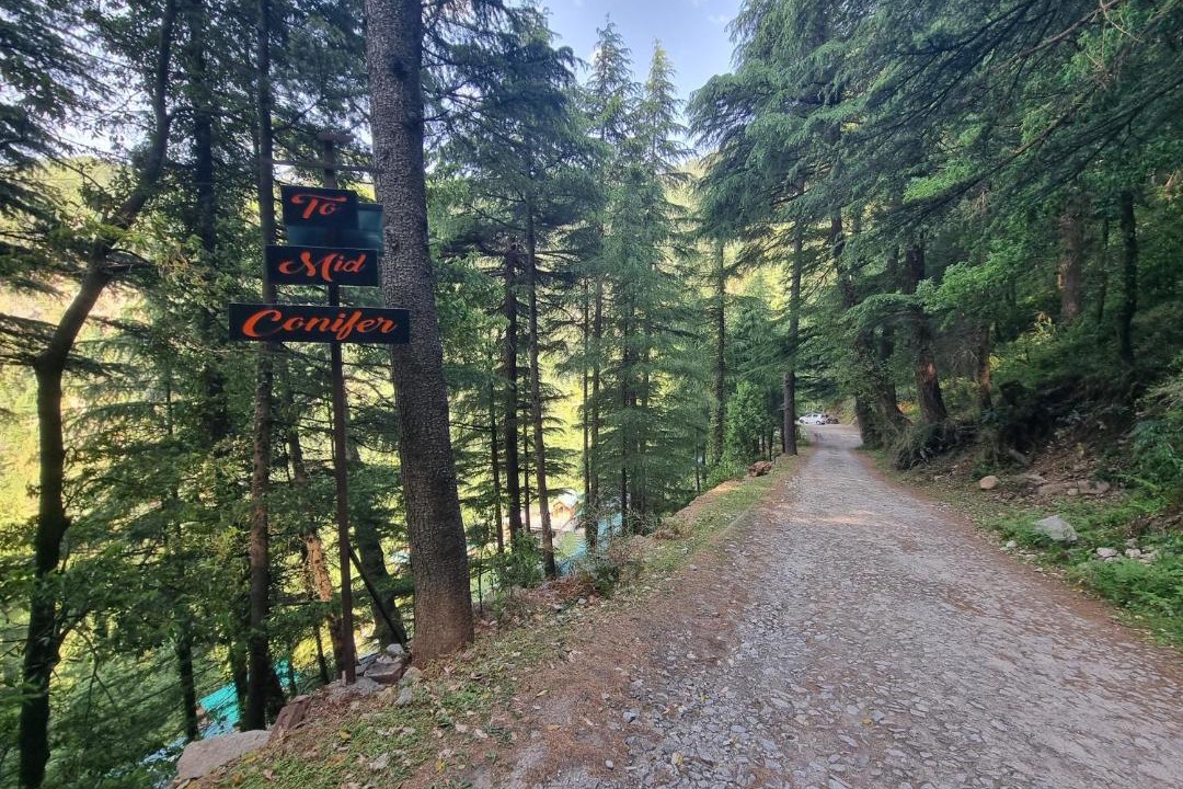 Photo of Others in Dalhousie